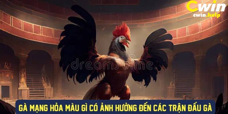 Đá gà mạng hỏa